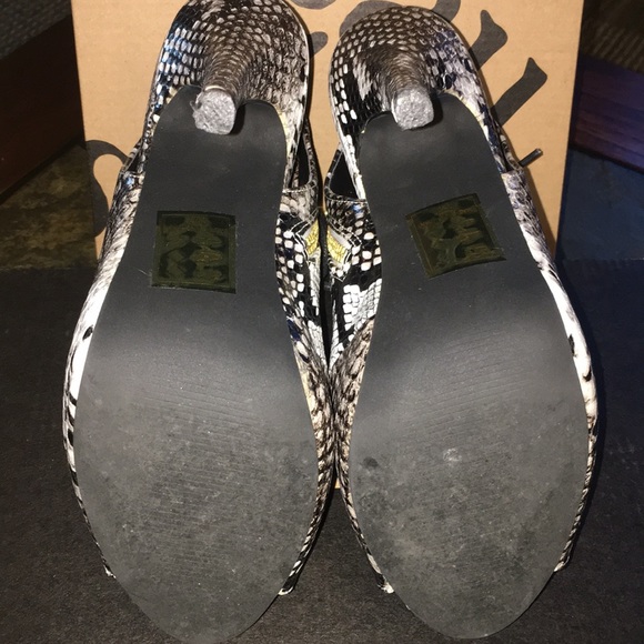 Beau + Ashe - Picture 9 of 11